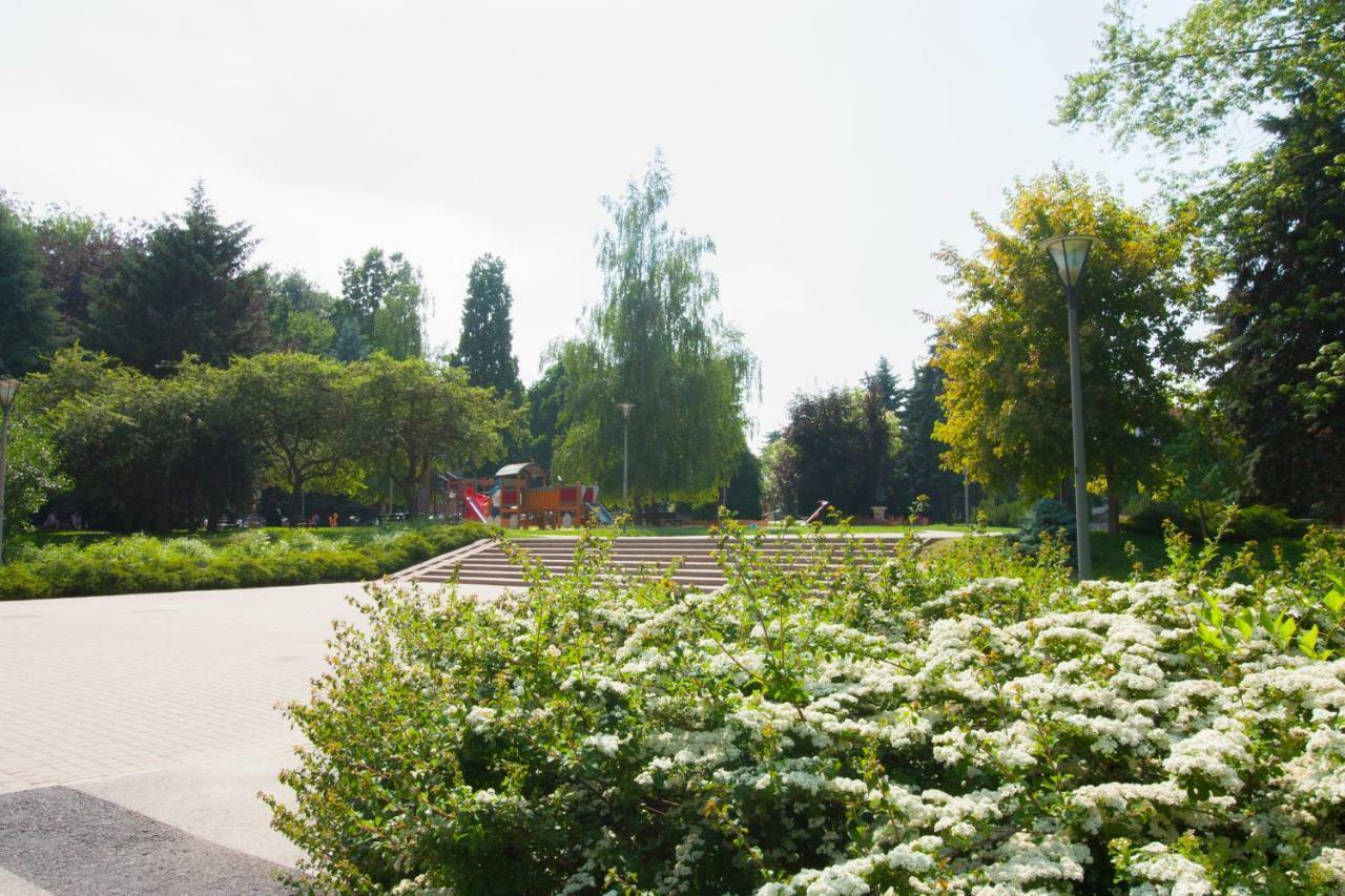 Niebianski Apartament Rzeszów Esterno foto